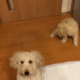 ロワムービーの画像