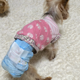 朝のトレーニングの画像