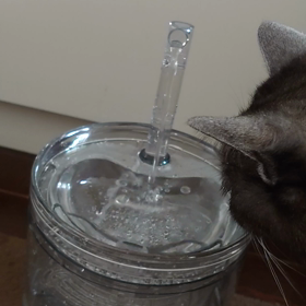 わーい♪の画像