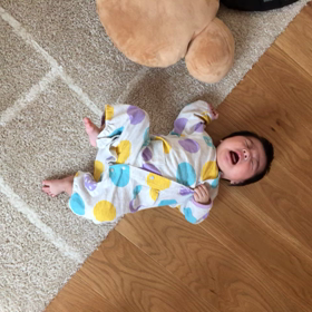 さくら大移動の画像