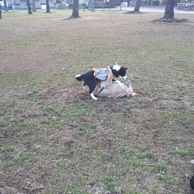 初めて友達と本気で！の画像