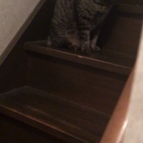 早くお部屋にの画像