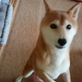 みるくです。の画像