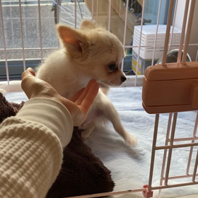 おはようございます⭐️の画像