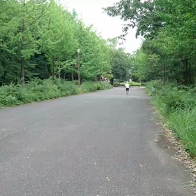 100m記録会 Bグループ⑪の画像