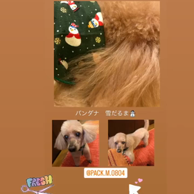 やっとすっきり。の画像