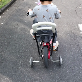 三輪車vsストライダーの画像