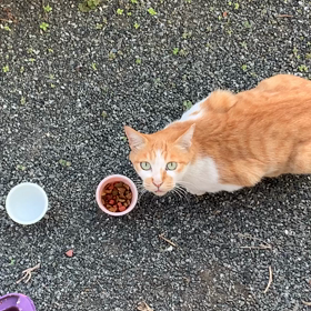 やっとお顔見れたの画像