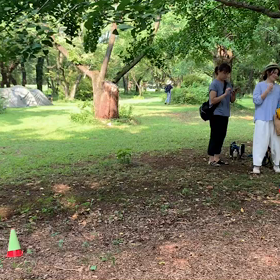 400mインターバル②の画像