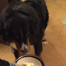 お誕生日ケーキ♪の画像