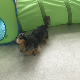 ♪プレイルーム動画♪②の画像