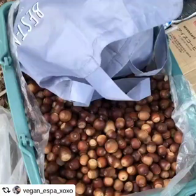 熊さんに 愛＆「どんぐり」を♡の画像