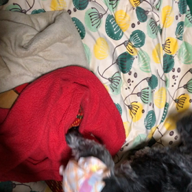 徘徊対策の画像