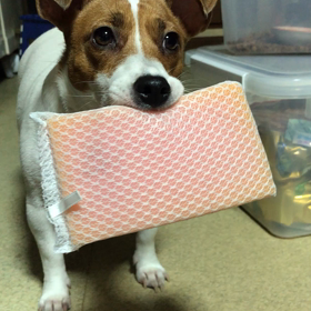 人生日記④③の画像