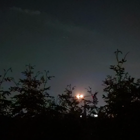 久しぶりにの画像