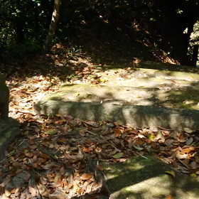 声はすれども風のなかの画像