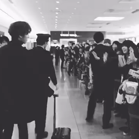 ミヌ、お出迎えの画像