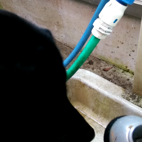 夏の遊びの画像