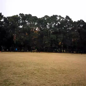 学年別インターバル⑨の画像