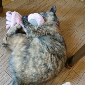 ふたたびの画像