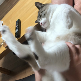 スタンドバイミーの画像