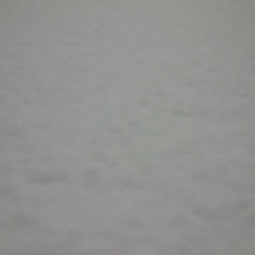 今朝もまたの画像