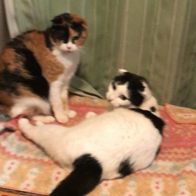 カメラを意識して？の画像