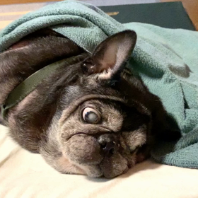 なんでやねん (^_^;)の画像