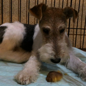 もったいぶってる？の画像