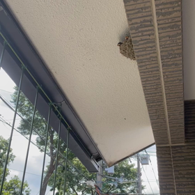 華麗なる一族2021の画像