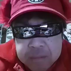 Z2今日もの画像