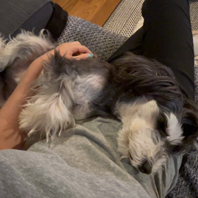 この後トリミング！の画像