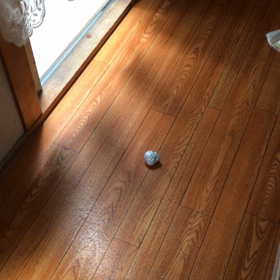 うりぞん日本代表になれるかもの画像