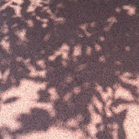 木洩れ日の画像