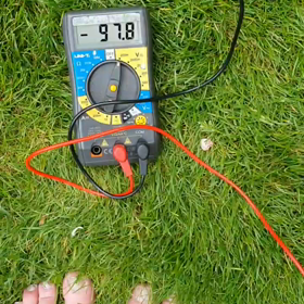 アーシング　ArcheiaRoseの画像