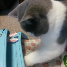 ランドセルの画像