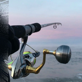 出そうで出ない海況。の画像