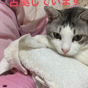 湯たんぽが よかったの画像