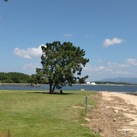 うみーーー！の画像