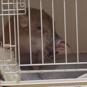 くちゃくちゃタイムの画像