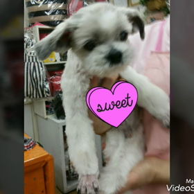 タイム　トリミングの画像