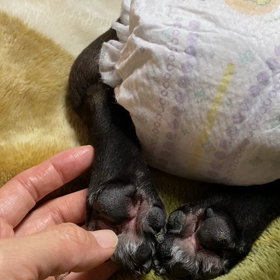 モジモジの画像