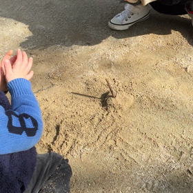 今日は  昼まで  バァバ‼️！の画像