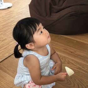 千葉の梨の画像