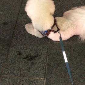 いつもの場所での画像