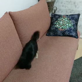 朝、よく見かける光景。の画像