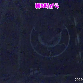 すぎぴたんの事件簿シーズン3　12話（アトラクションユラユラの1日！）の画像