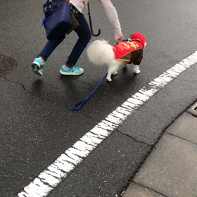 日々成長の画像