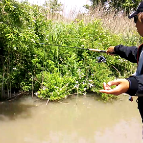 アノシェイキー！その②(movie)の画像