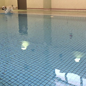 花より◯◯◯の画像